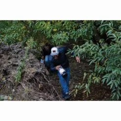 Coleman 360 Light And Sound Lantern -Camping Hardware Sales BCF 559969 04 hi res