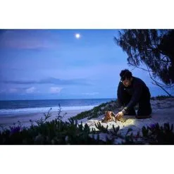 Wanderer Moonbeam 580R Focus Headlamp -Camping Hardware Sales BCF 563664 10 hi res