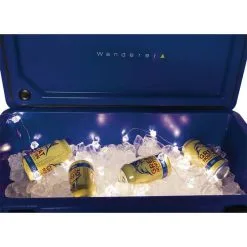 Wanderer Cooler Lights