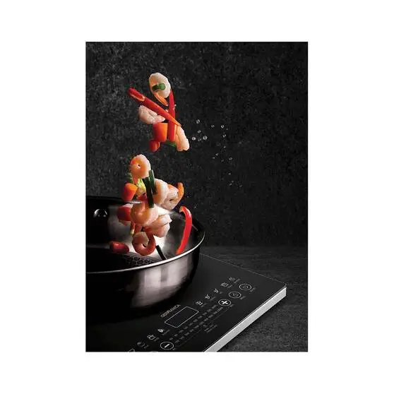 Germanica Ceramic Induction Cooktop 1 Germanica Ceramic Induction Cooktop